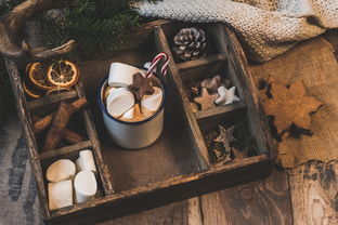 九游娱乐-NBA赛季助攻王表现动态，nba本赛季助攻王